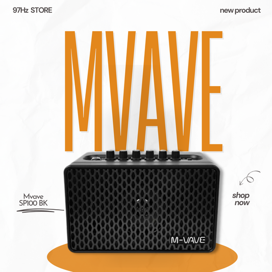 Loa Guitar Mini Amplifier Mvave SP-100