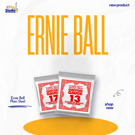 Dây lẻ Ernie Ball Plain Steel Custom Gauge 10, 13, 17 - 97Hz Studio
